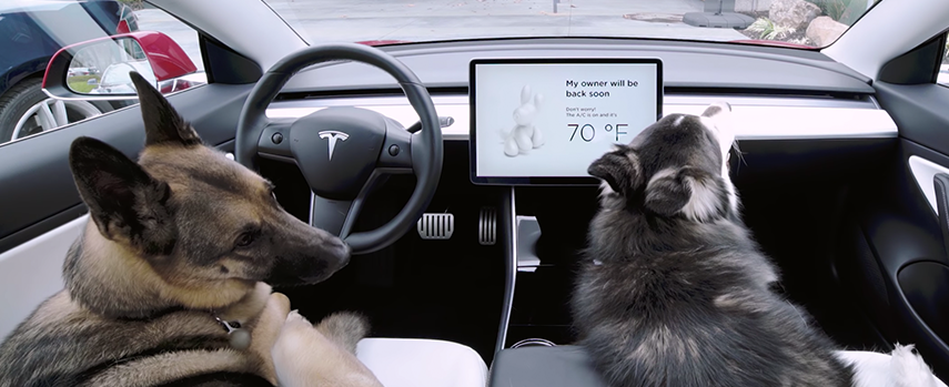 An image of tesla, AI, Tesla's Dog Mode left pets at risk