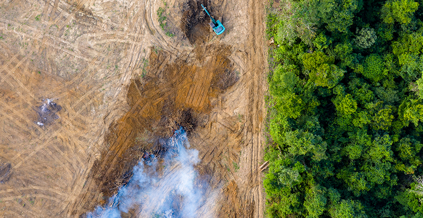 An image of Forest Fire, Featured News, How can technology fight forest fires?