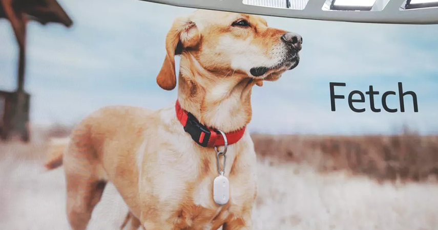 An image of Amazon, Connectivity, Amazon reveals Fetch pet tracker and Sidewalk network