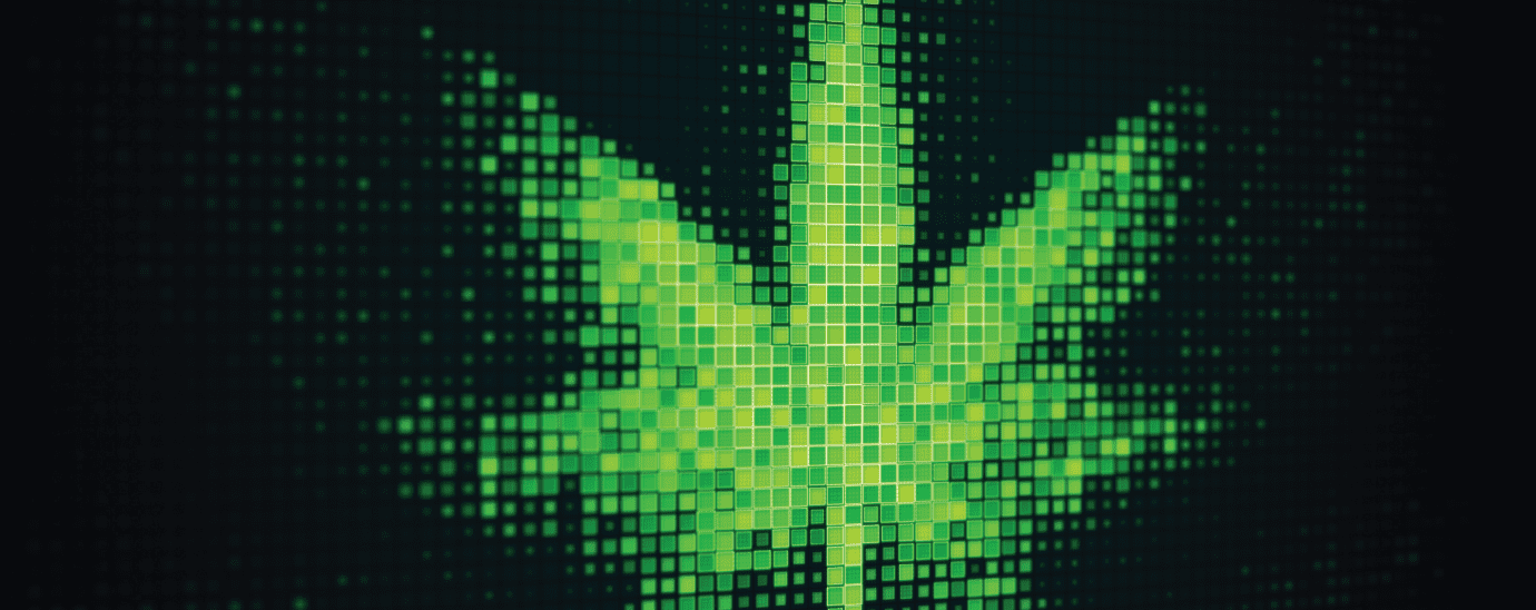 An image of Cannabis, Cyber Security, Cannabis users’ sensitive data leaked in “serious” breach