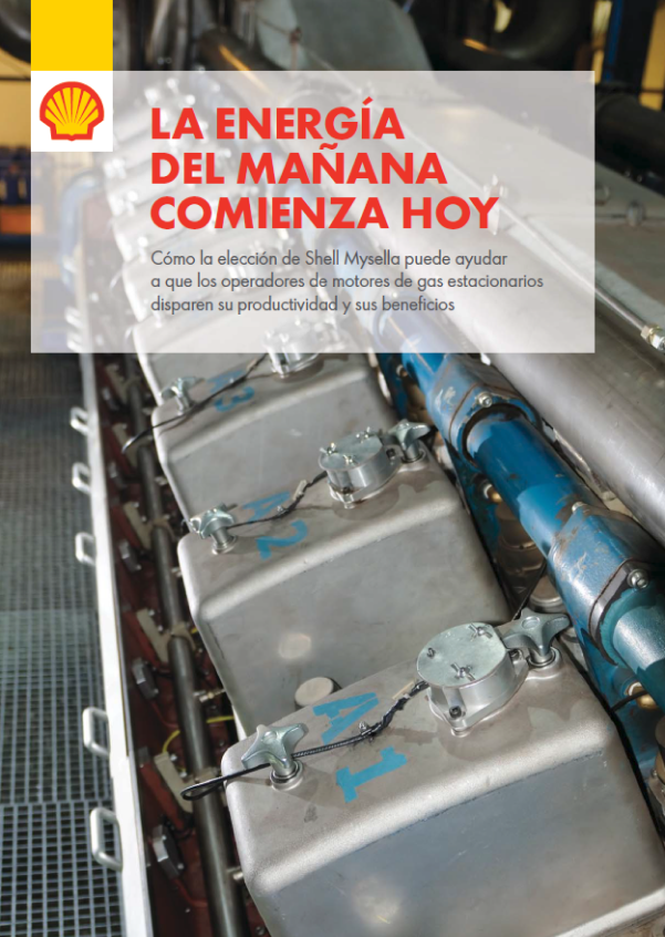 El mantenimiento importa 1 Spanish Shell Mysella - Maintenance Matters