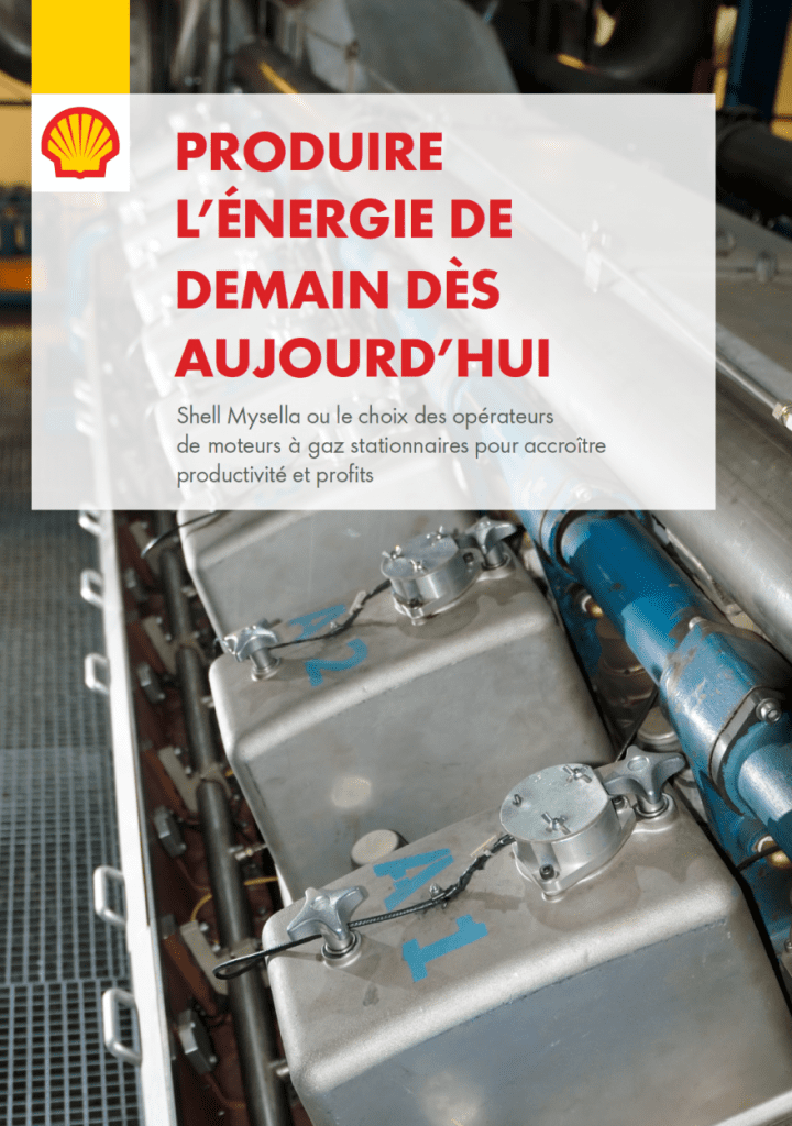 Shell: La maintenance compte 1 Shell Mysella - French - Maintenance matters