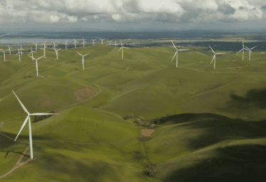 The future of carbon credits and carbon offsets